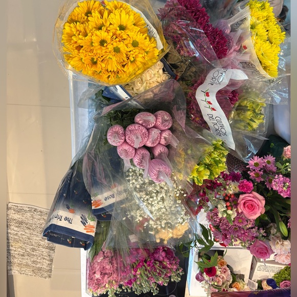 ✏️Back To School At Lotus House✏️ - Picture 3 of 17